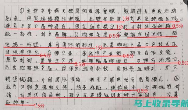 站长申论PDF版深度解析：带你掌握考试要点